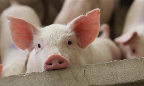 養(yǎng)殖屠宰廢水